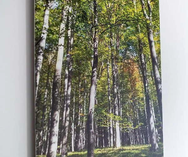 Apartment's Tea & Nevio *